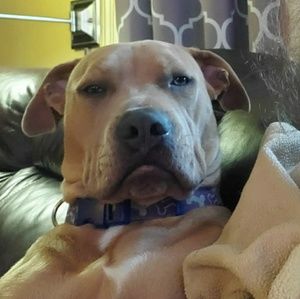 Meet your Posher, Jack